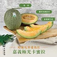 【永齡選物】嘉義極光卡蜜拉哈密瓜1.2kg&plusmn;10%(1入)