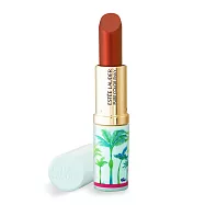 ESTEE LAUDER 雅詩蘭黛 絕對慾望奢華潤唇膏(2.8g)#333(花管)-公司貨