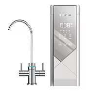 濱特爾Everpure智慧型雙出水RO飲水器(V3000)