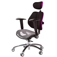 GXG 高雙背網座 工學椅(鋁腳/摺疊升降扶手) TW-2806 LUA1