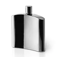 《Philippi》Henry不鏽鋼隨行酒壺 | 隨身酒瓶 攜帶酒壺 - 鏡亮銀175ml