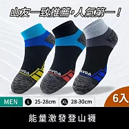 【WOAWOA】6入組 能量激發登山襪-低筒(健走襪 除臭襪 襪子 男襪 女襪 運動襪) 男L(25-28公分)3色各2雙