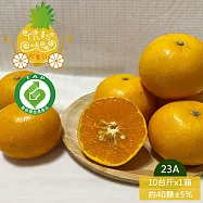 預購【THIS味販賣部】雲林 產銷履歷 23A茂谷柑10台斤x1箱(約40~49顆/箱_產地直送_雲林良品_橘子)