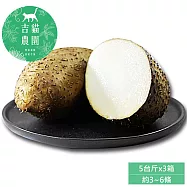 預購【吉貓農園】高雄內門刺薯山藥5台斤x3箱(約3~6顆/箱_產地直送_草生種植_常溫宅配)