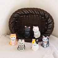 OPretty 歐沛媞 手作可愛公仔擺飾-厭世貓六入組-兩款可選 A款