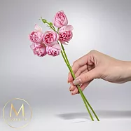 【Floral M】奧斯丁牡丹仿真花花材(9入組)- 優雅粉