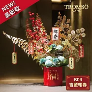TROMSO金喜發財果新年花禮花籃B系列(小)-B04吉藍報春