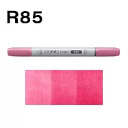日本 COPIC 酷筆客 麥克筆 CIAO 三代 R系列 R85