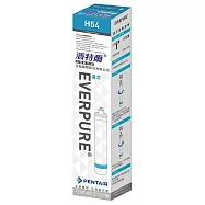 【濱特爾】EVERPURE家用雙效型濾芯H54(台灣總代理公司貨)