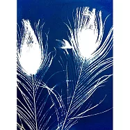 【玲廊滿藝】李喬煒-遷徙二34.5x23.5cm