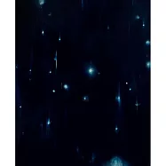 【玲廊滿藝】李喬煒-光輝91x72.5cm