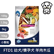 【法米納Farmina】天然熱帶水果系列 FTD1 幼犬/懷孕犬 羊肉木瓜 5kg 小顆粒