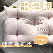 【麗塔寢飾】優質防螨抗菌健康有氧枕(1入)