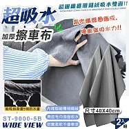 【WIDE VIEW】加厚珊瑚絨超吸水雙面擦車布2入組(打蠟布 擦車巾 洗車毛巾 吸水布 洗車布/ST-9000-5B)