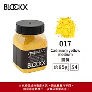 比利時BLOCKX布魯克斯 礦物繪圖色粉 黃橘紅色系 S4- 017 鎘黃85g