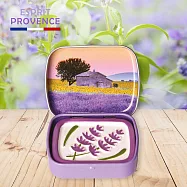 法國ESPRIT PROVENCE擴香石 (TOU向日葵)