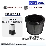 適用韓國Winix 大威 AAPU300 輕巧型6-10坪空氣清淨機替換用HEPA活性碳濾網濾芯Filter GQ