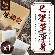 【麗紳和春堂】七聖草淨身除穢包(6包/袋)x1袋