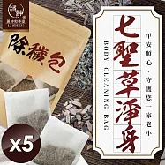 【麗紳和春堂】七聖草淨身除穢包(6包/袋)x5袋