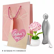 O&rsquo;Pretty 歐沛媞 紓壓按摩器+祝福卡片+手作針織康乃馨盆栽附手提禮袋
