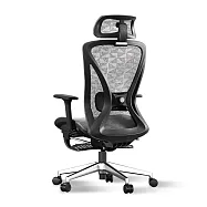 STYLE格調 Ergo 3D曲面頸部支撐人體工學椅/辦公椅 灰網