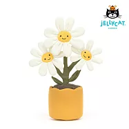 英國 JELLYCAT 34cm 雛菊盆栽 Amuseable Daisy