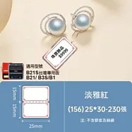精臣標籤貼紙-B1/B21/B21S/B3S通用《珠寶/纜線/索引系列》 珠寶(淡雅紅)
