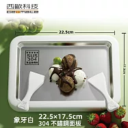 西歐科技 304不銹鋼多功能炒冰機 買一送一 牛奶白