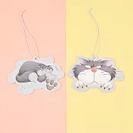 【迪士尼 Disney】迪士尼造型香氛片 衣櫥香氛 車用擴香 香片吊卡 魯斯佛(古龍)