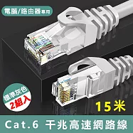 Cat.6標準RJ45網路傳輸圓線-15米(2入組)
