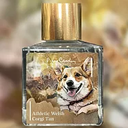 皮爾卡登 Pierre Cardin 汪汪系列閃粉墨水 -柯基棕咖 25ml