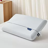 【Galatea葛拉蒂】 42X70X10cm記憶舒棉枕