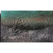 【玲廊滿藝】陳怡君-凝視53x33cm