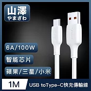 山澤 USB to Type-C 6A 100W蘋果/三星/小米超速充電傳輸線 1M