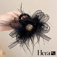 【Hera赫拉】高顏值水鑽羽毛抓夾 H113101405 無 金色