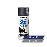 樂立恩 RUSTOLEUM 2X 極致雙效彩漆 多色澤(兩倍遮蓋/340g) 249844峽谷黑