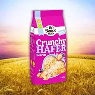【德國BauckMühle】寶客無麩質莓果燕麥脆片 Oat Crunchy Berries 300g/包 無