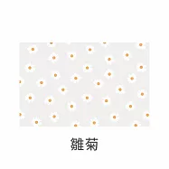 【E.dot】超值2入透明防霉防潮防滑墊 (抽屜墊 / 廚櫃墊 / 桌墊 / 保潔墊) 雛菊