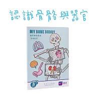 子玄 認識身體 骨骼器官內臟拆卸身體骨架 身體骨骼可動構造教具