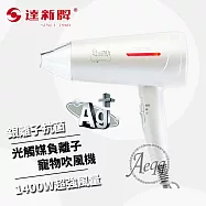 【TAHSIN 達新牌】銀離子抗菌 光觸媒離子寵物吹風機(TS-6690)