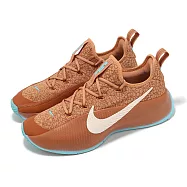 Nike 訓練鞋 LeBron TR 1 Better With Age 琥珀棕 湖水綠 LBJ 運動鞋 FJ6151-200 27.5cm BROWN/GREEN