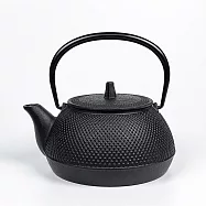 福介商店 日本鑄鐵壺 南部鐵器 IWACHU 岩鑄 新霰 5型鐵壺兼用急須0.65L-IH對應