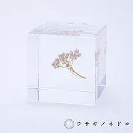 【usaginonedoko 京都兔之床】Sola cube 米香花立方塊 (宙言葉：生活充實的每一天) | 鈴木太太公司貨