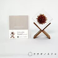 【usaginonedoko 京都兔之床】Sola cube 立方塊木質置物架 (茶) | 鈴木太太公司貨