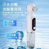 【CY 呈云】二代注水小氣泡電動臉部清潔儀 黑頭粉刺機(CY-138A)