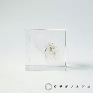 【usaginonedoko 京都兔之床】Sola cube Mineral礦石立方塊 水晶 (宙言葉：時間的結晶) | 鈴木太太公司貨