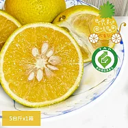 預購【THIS味販賣部】雲林古坑香甜柳丁x1箱(5台斤/箱_產地直送_產銷履歷)