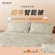 《台塑生醫》超導智能被(加贈枕頭套2入)