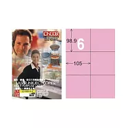 【龍德】LONGDER 三用電腦標籤 A4 6格 98.9*105mm 粉紅 105張 3盒/組 LD-808-R-A(適用雷射、噴墨、影印)