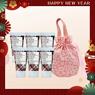 ESTEE LAUDER 雅詩蘭黛 Perfectly Clean 細緻煥采雙效淨化潔面乳(30mlX6)-新版送收納袋-新年情人禮品-公司貨